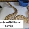 Bamboo GHI Pastel BP