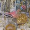 Rosy Bourke Parakeets, Hand Fed & Tame