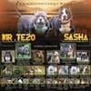 Spring Special Free with small Rehoming Fee / Puppies / Man''s Best Friend / American Bully