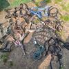 horse tack