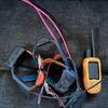 Garmin Astro 320