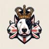 Join: ( English bull terrier off the Carolinas) on Facebook