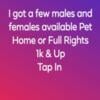 Pet Home Or Full Rights Tap In