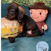 Wild-boar dachshund male Russian x AKC showline