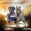 "Protective & Playful: Cane Corso Puppies Raised with Love"