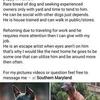 Needs Home