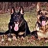 Storm (Left) with Uncle Titan (Middle) and Father Zeus (Far Right)