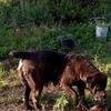 Rehoming my friend