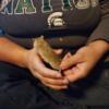 Young male gerbil available in hudson mi. 7.00