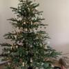 DEC 2023 new 7 ft Scandinavian noble CHRISTMAS TREE NEW  Lanham Maryland
