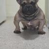 Micro male open for stud