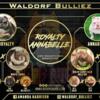 Designer Bully Pups Available