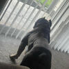 Looking to rehome