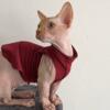 DEAL summer BAMBINO SPHYNX male cat for sale