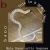 Male super artic hognose