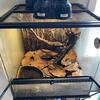 2 whites tree frogs and (enclosure bio active self cleaning )