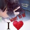 Beautiful Maltese and Maltipoo Puppies Available at Mari May Kennels, Michigan