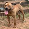 Male available