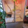 Reptile cage custom steel enclosure