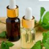 Menthol Crystal Oil  Wholesalers In India