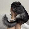 Two female chinchillas with 2 story cage  