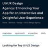 Let a Top-Tier UI/UX Design Agency- Wilson Wings Reinvent Your App