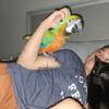 Pet only! Beautiful Milliquin macaw looking for a home