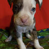 Mr. Blue eyes