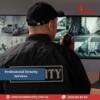 Professional Security Services 