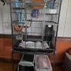 Pair of sugar gliders, cage and supplies