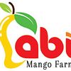 Abi Mangoes is a One of the Best Online Natural Tasty Mangoes Seller in Namakkal,Tamilnadu.