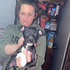 Working bull terrier cross