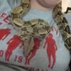 4ft female boa constrictor