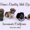 Shihtzu Dobies