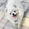Sweet boy