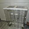 NYC 2 Parrotlet Parrot New Cage