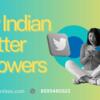 Buy Indian Twitter Followers - IndianLikes