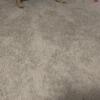150 German shepherd puppy