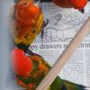 Baby sun conures birds