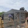 Aviary
