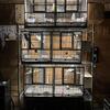 3 pairs of Quakers or buy all 6 pairs of Quakers **New Price**Must Sell No time to handfed…