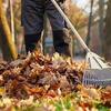 Yard & Garage Help Needed – $40 Per Day