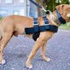VG PRO DOG HARNESS