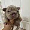 Female for sale 