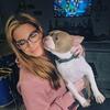 Beautiful Boston Available for Stud only