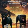 AKC Rottweiler Puppies*Health Guarantee