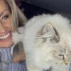 Ragdoll kittens available