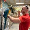 Lucy the Blue & Gold Macaw