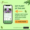 Know About Plant of the Day-Plantora