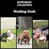 Working Studs